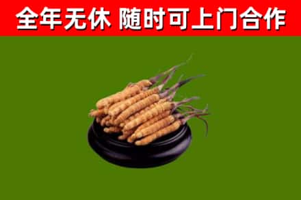 黑水回收冬虫夏草