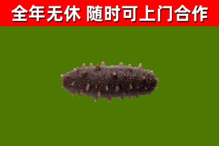黑水回收海参干